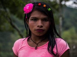 Mulheres indígenas trans encontram refúgio nas fazendas de café na Colômbia