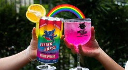 Flying Horse apresenta energético 'friendly' com coloração pink e sabor pitaya